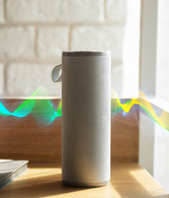 Wireless Bluetooth Speaker